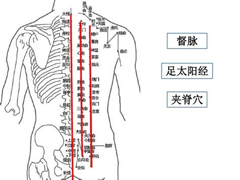 北部穴道